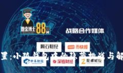 滑点设置：小狐钱包中的隐藏挑战与解决策略