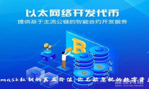 Metamask私钥的真正价值：你不能忽视的数字资产保护