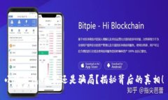 小狐钱包：真实还是骗局？揭秘背后的真相！