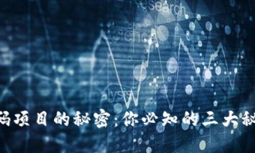 币圈首码项目的秘密：你必知的三大秘密通道！