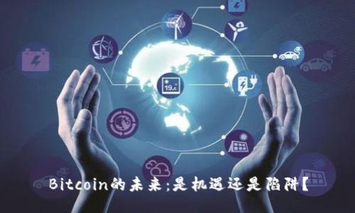 Bitcoin的未来：是机遇还是陷阱？
