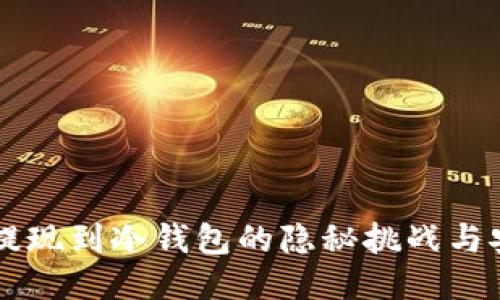 交易所提现到冷钱包的隐秘挑战与安全保障