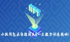 小狐钱包头像框消失？一文教你快速找回！
