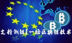 小狐钱包能否支持侧链？一场区块链技术的挑战