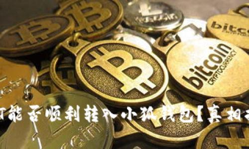 USDT能否顺利转入小狐钱包？真相揭秘！