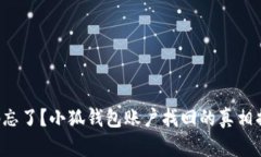 密码忘了？小狐钱包账户找回的真相揭秘！
