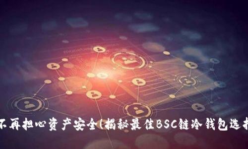 不再担心资产安全！揭秘最佳BSC链冷钱包选择
