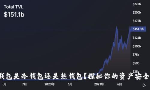 oke钱包是冷钱包还是热钱包？探秘你的资产安全选择
