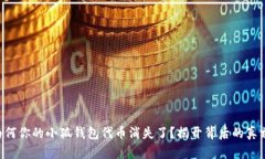 为何你的小狐钱包代币消失了？揭开背后的真相