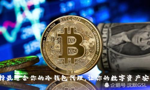 如何选择最适合你的冷钱包代理，让你的数字资产安全无忧？