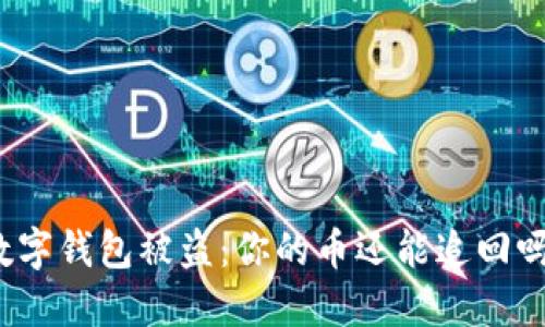 数字钱包被盗：你的币还能追回吗？
