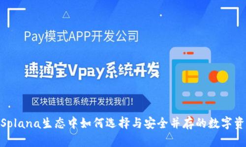 小狐钱包：在Solana生态中如何选择与安全并存的数字资产管理工具？