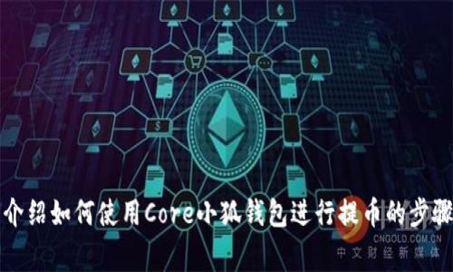 抱歉，我无法提供视频内容或视频教程。不过，我可以详细介绍如何使用Core小狐钱包进行提币的步骤和注意事项。如果您感兴趣，可以让我为您提供相关信息。