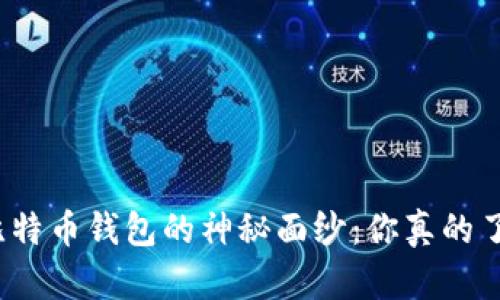 揭开比特币钱包的神秘面纱：你真的了解吗？