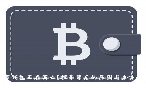 数字钱包正在消亡？探寻背后的原因与未来趋势