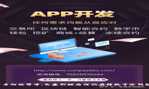 在数字货币的世界中，巴基斯坦为何仍在挣扎于冷钱包的冷漠？