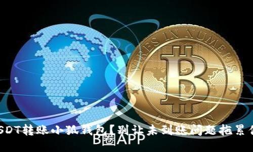 USDT转账小狐钱包？别让未到账问题拖累你！