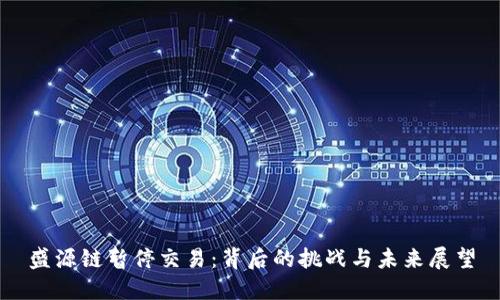 盛源链暂停交易：背后的挑战与未来展望