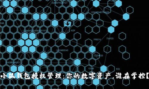 小狐钱包授权管理：你的数字资产，谁在掌控？
