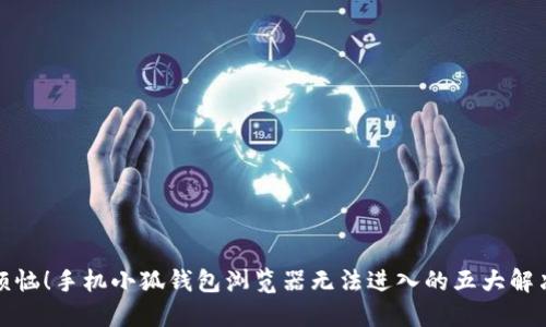 告别烦恼！手机小狐钱包浏览器无法进入的五大解决方案