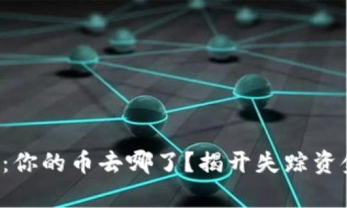 小狐钱包：你的币去哪了？揭开失踪资金的真相！