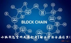 小狐钱包官网无法打开？解决方法全在这里！