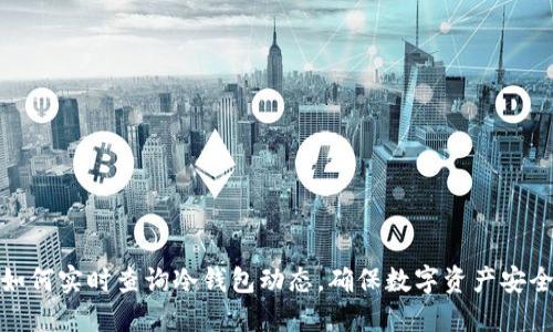 如何实时查询冷钱包动态，确保数字资产安全