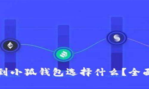 提币到小狐钱包选择什么？全面指南