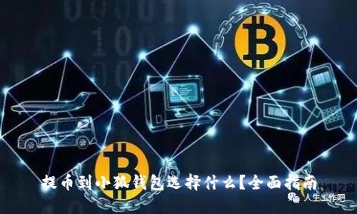 提币到小狐钱包选择什么？全面指南