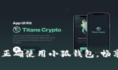 全面解析：如何正确使用小狐钱包，畅享数字资