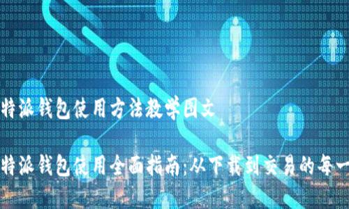 比特派钱包使用方法教学图文

比特派钱包使用全面指南：从下载到交易的每一步