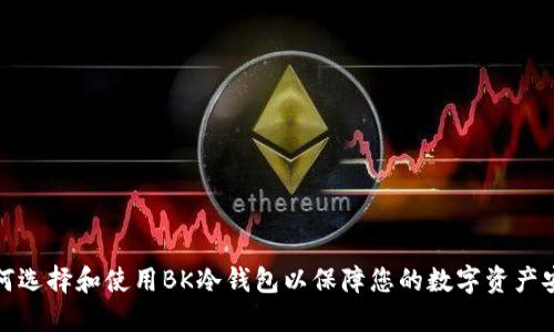 如何选择和使用BK冷钱包以保障您的数字资产安全