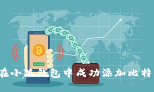 如何在小狐钱包中成功添加比特币链？