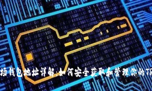TRX波场钱包地址详解：如何安全获取和管理你的TRX资产