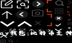 深入了解BitPay钱包：比特币支付的安全与便捷