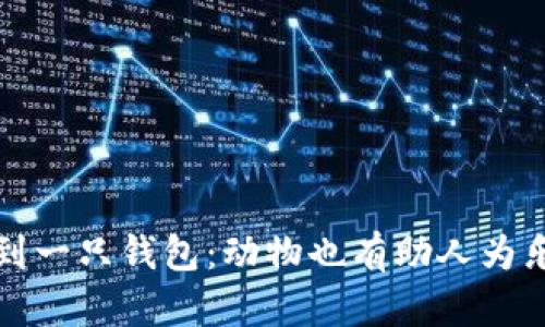 小狐捡到一只钱包：动物也有助人为乐的时刻
