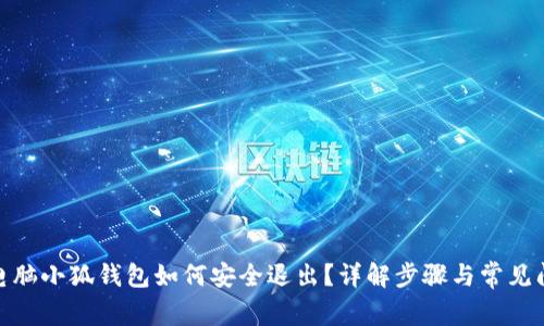 : 电脑小狐钱包如何安全退出？详解步骤与常见问题