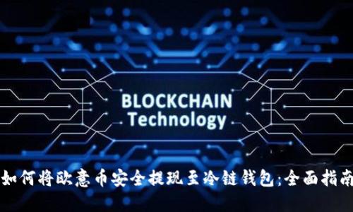 如何将欧意币安全提现至冷链钱包：全面指南