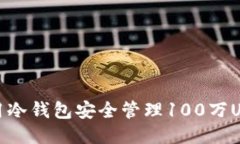 如何利用冷钱包安全管理100万USDT流水