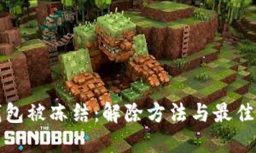 冷钱包被冻结：解除方法与最佳实践