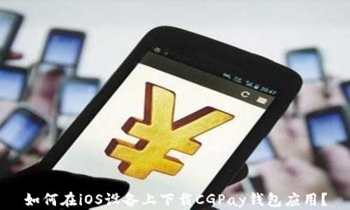 
如何在iOS设备上下载CGPay钱包应用？