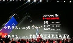 小狐钱包cnup是什么小狐钱包cnup：掌握数字货币钱