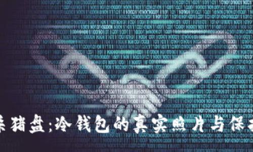 :
揭密杀猪盘：冷钱包的真实照片与保护建议