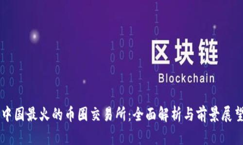 中国最火的币圈交易所：全面解析与前景展望
