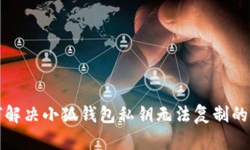 如何解决小狐钱包私钥无法复制的问题
