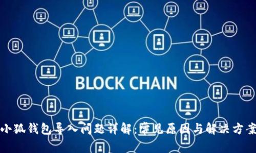 小狐钱包导入问题详解：常见原因与解决方案
