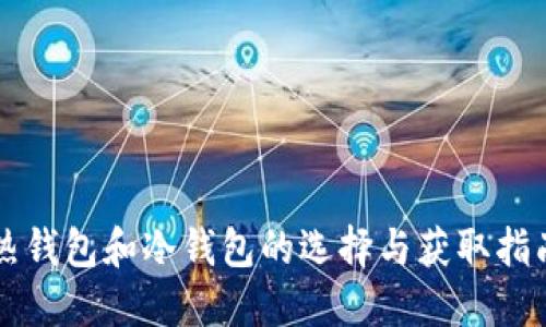 热钱包和冷钱包的选择与获取指南