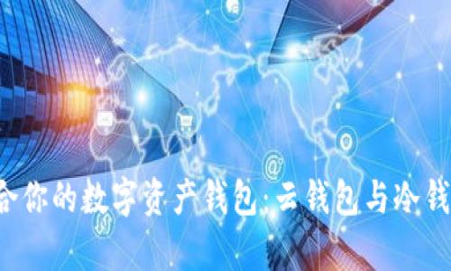  如何选择适合你的数字资产钱包：云钱包与冷钱包的深度解析