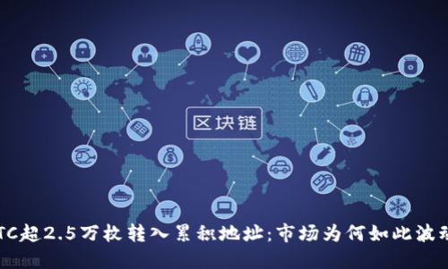 BTC超2.5万枚转入累积地址：市场为何如此波动？