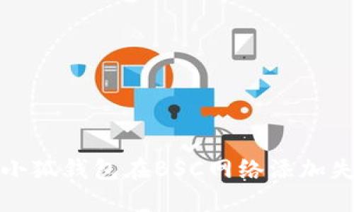 如何解决小狐钱包在BSC网络添加失败的问题